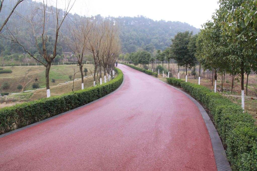 公園彩色景觀路面 公園彩色景觀路面
