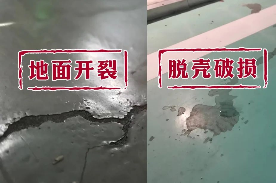 1684814288855847.jpg 1684814288855847.jpg